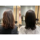 동탄대로5길R | [동탄호수공원미용실] 차운헤어 보미실장님께 퍼스널컬러 전체염색 받고 온 후기