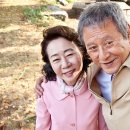 고운할머니상회