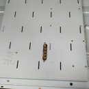 불새게임장 이미지