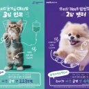 나우 동물병원 이미지