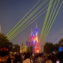 토이캐슬 | [도쿄] 디즈니랜드 캐슬 쇼, 야간퍼레이드 후기