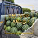 우곡농장 이미지