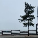 디오션제부 이미지