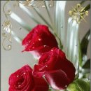 예능이스턴키즈어린이집 이미지