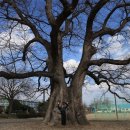 한재초등학교 이미지