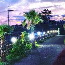 제주산방산황토펜션 이미지