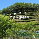 뽑기샵(청소년게임) | [전라남도/보성] 보성다향대축제 방문 후기