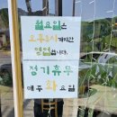 682 | 청학리 메밀국수 맛집, 반가의메밀 여름엔 시원한 냉면이지!