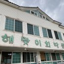 해맞이 민박 | 경주맛집] 경주 감포 가성비 회 맛집 내돈내산 해맞이회타운 포장 후기