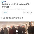 유니클로 앞 이미지