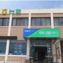 외포삼거리 티스토리