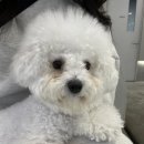 서창사랑동물병원 이미지