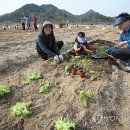 김영배농장 이미지