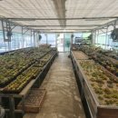 지올리브펜션 이미지