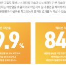 넘버원틴팅 이미지