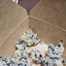 따봉노래연습장 이미지