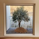 유에이치 스테이 명동 | 괴산 감성숙소 스테이 순디네 제천펜션 찾다가 발견한 보물같은 곳!