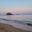 진하막썰어횟집 이미지