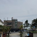펜션명사20 | 완도신지펜션)욜로펜션 아라202호 내돈내산후기