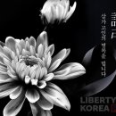 에이치디에스 이미지