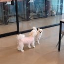 독탑라운지 이미지