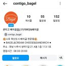 콘티고베이글