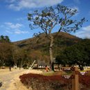 진도 운림산방 이미지