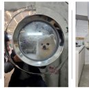 제일2차동물메디컬센터 | 전북 익산 와우동물메디컬센터 — (주)비쓰리이앤에스 동물용 고압산소치료기, 설치 4개월 후 임상 적용...