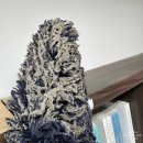 대륭포스트타워7차 | 🌿사무실 대청소 후기! 가산 대륭포스트타워 7차, 이렇게 깨끗해졌어요🌟