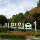 우면산6-13 이미지