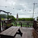 핑스애견펜션 이미지