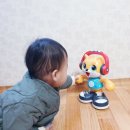 오 마이 캣 이미지