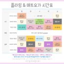 하루;요가필라테스플라잉