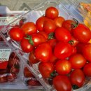 성산청과 이미지