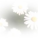 사회복지법제와실천 이미지