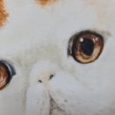 눈코입미술학원