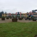 임원초등학교 이미지