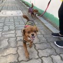 침산리 충령탑화장실 | 1028-1106, 2020년 가을 마지막 이야기