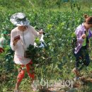 웰빙건강먹거리 이미지