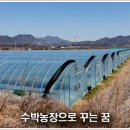 은현농장 네이버블로그