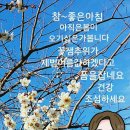 지나의하루