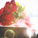 대한인사행정사 이미지