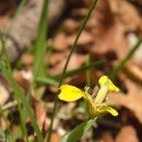 이마당약수터 이미지