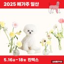 (주)상도 이미지