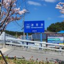 경포천로 이미지