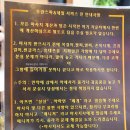 베트남 다낭 마사지 추천 가격 한시장 픽업 후기 투란스파