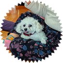 은풍면 경로당 이미지