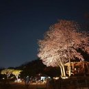 물왕숲캠핑파크 이미지