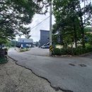 현일농장 Daum카페