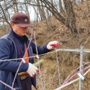 다올목장 이미지